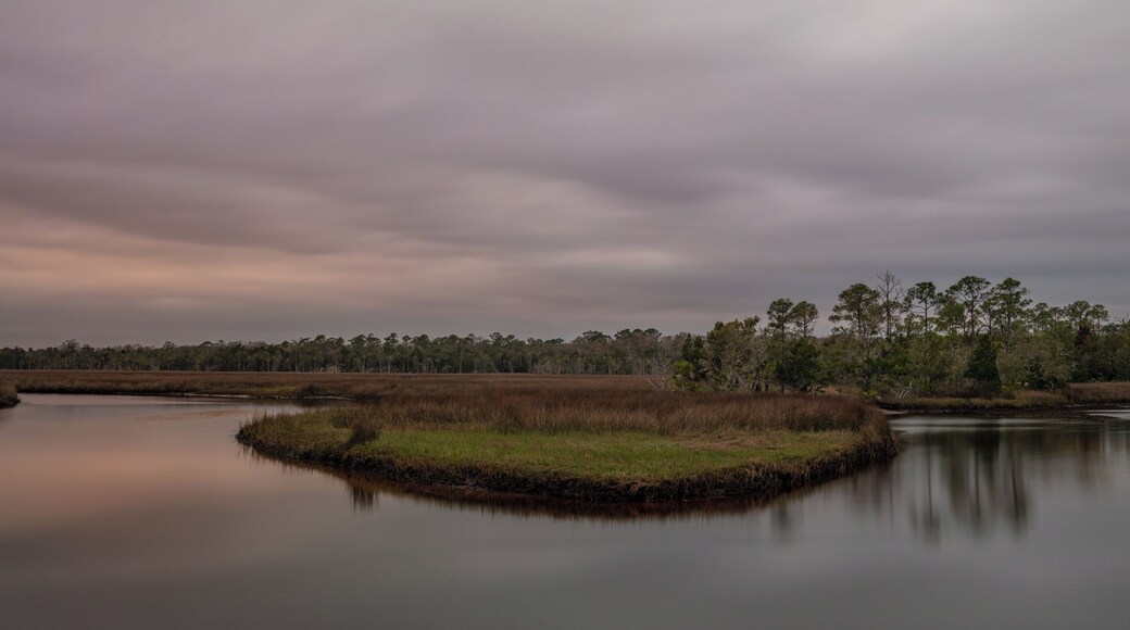 Thus ends my trip to Florida. A great drive with a lot of tolls and the best wadding birds around!