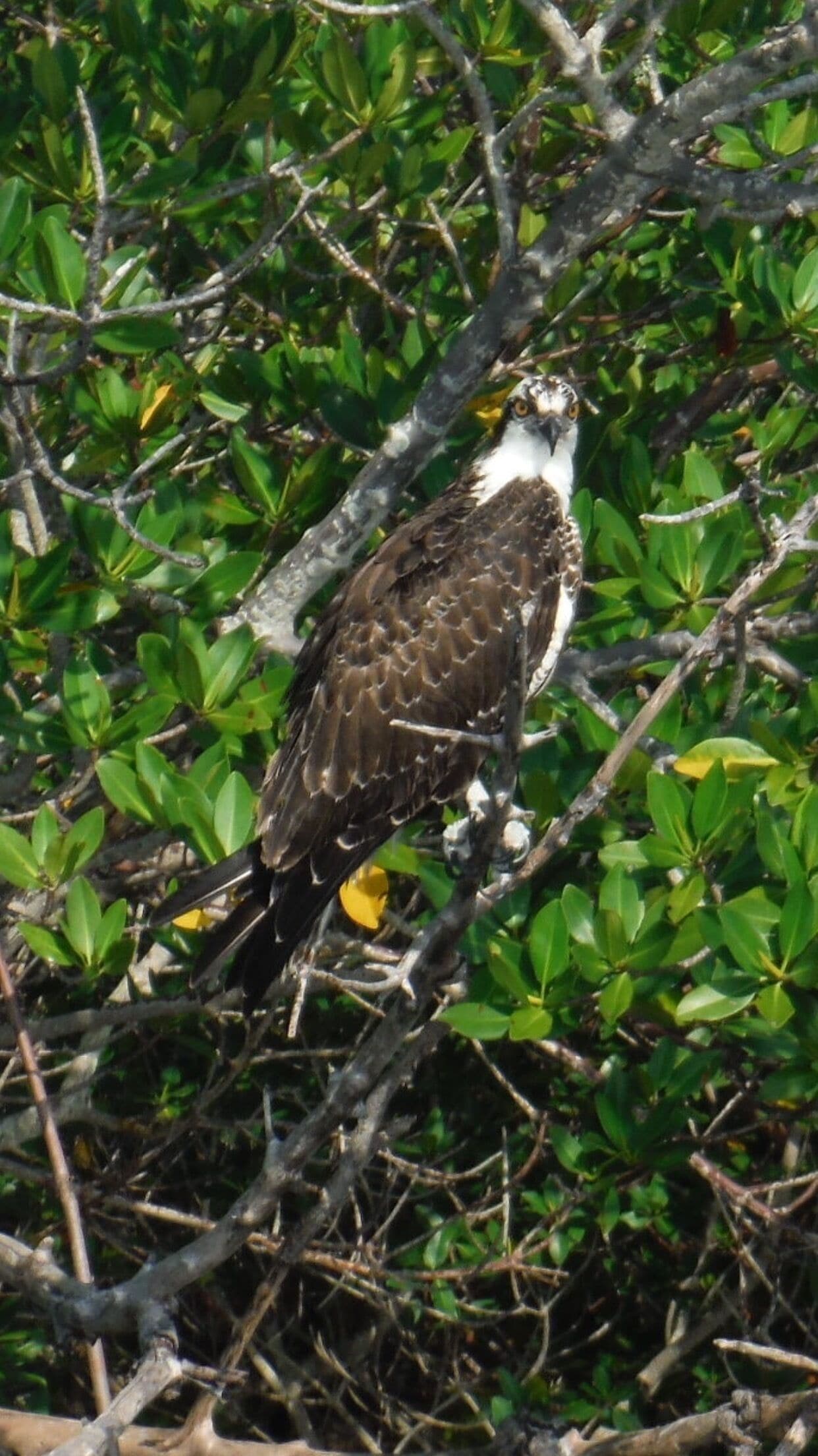 This guy is way better at fishing than I am! 