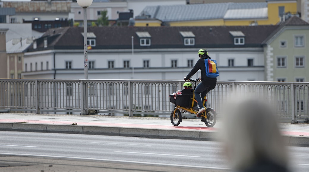 Radfahrer auf der Nibelungenbrücke in Linz, Österreich, Europa