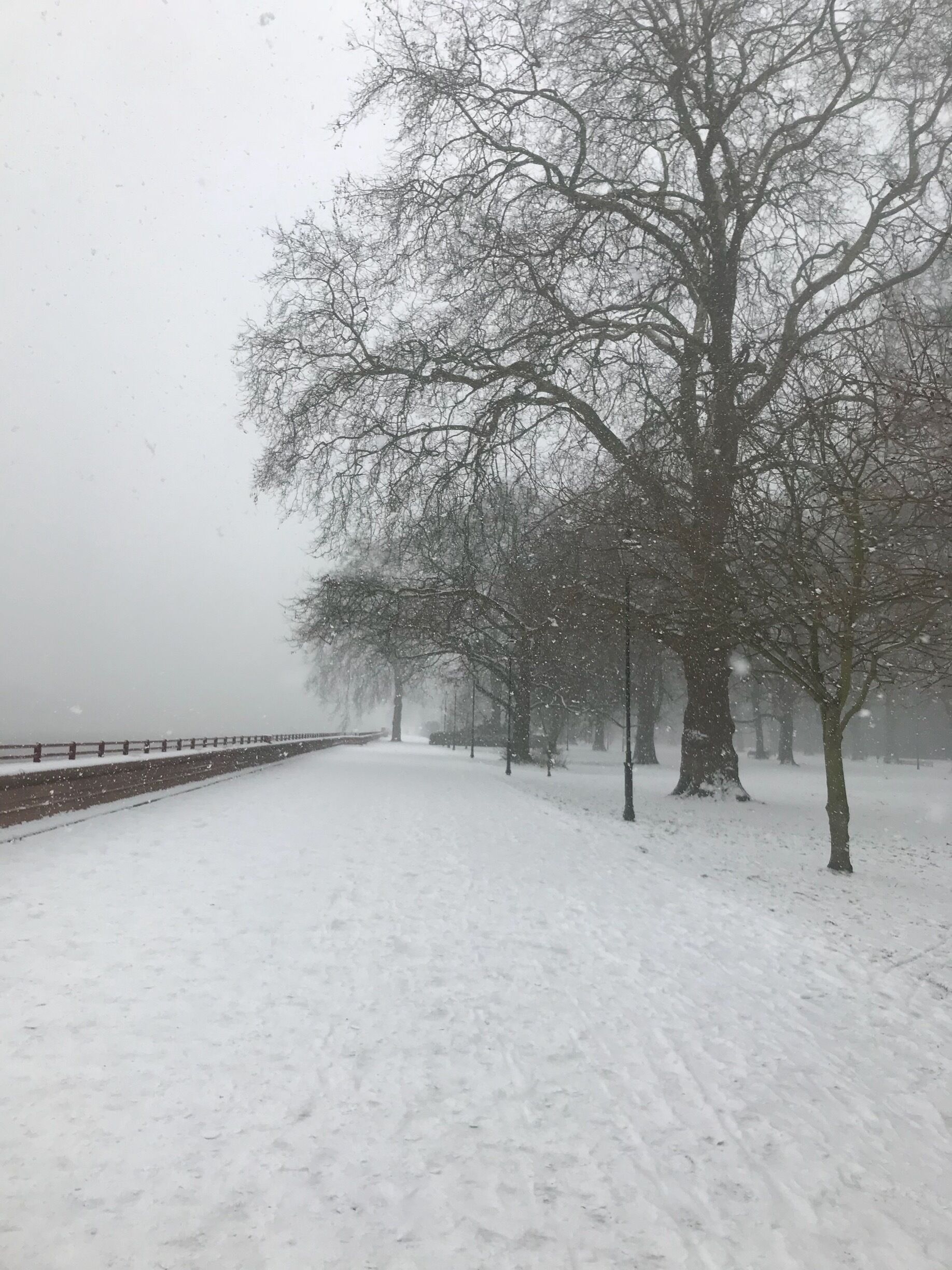 Extremely cold winter in London! ❄️