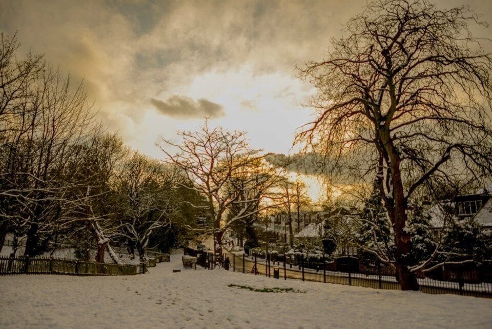 Snow day at the park