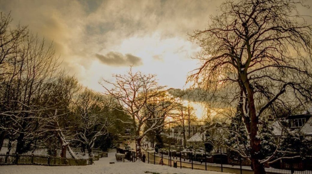 Snow day at the park