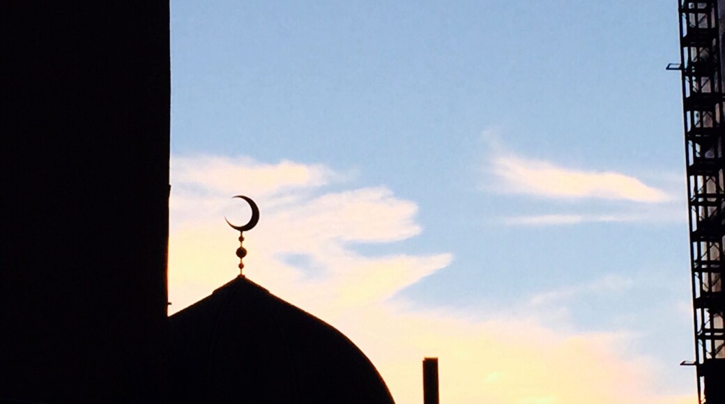 The east London Mosque situated in the London borough of tower hamlets, between Whitechapel and Aldgate, is one of the largest mosques in Europe.