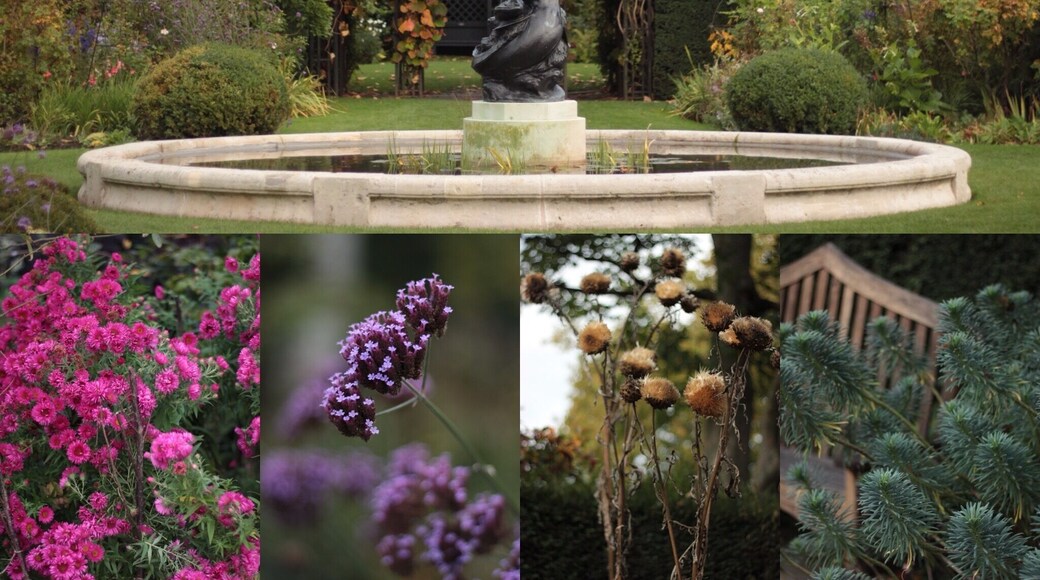 there is a secret garden in Regents Park not many people know about. It’s a hidden gem. Look for St. John’s Lodge on map