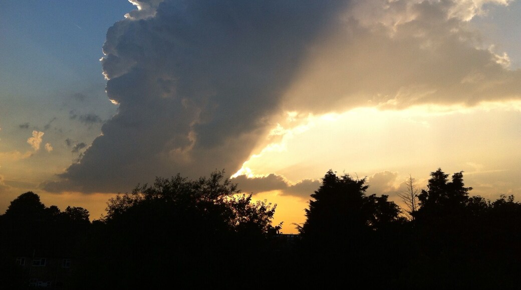 Middle Park and Sutcliffe