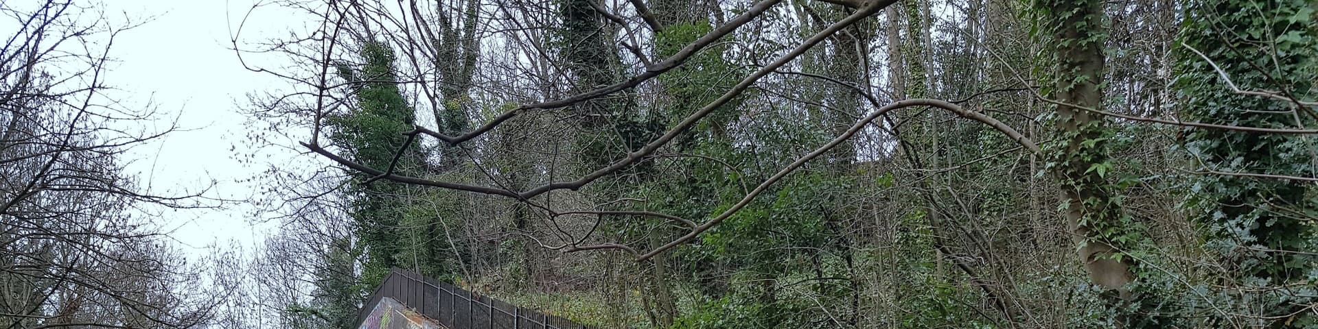 (Part 1/2) An old railway path between Finsbury Park and Alexandra Palace, the real urban jungle! #LifeAtExpedia