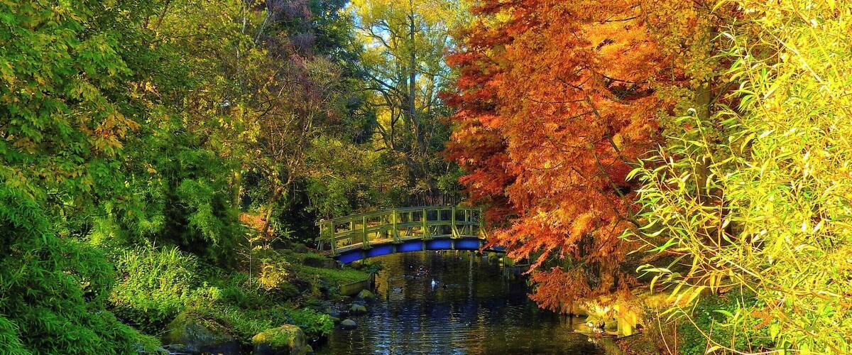 Regent's Park, London UK
The most beautiful park in London no matter the season!
#LifeAtExpedia #GoWithTheFlow
#parks
#Hometown #colors