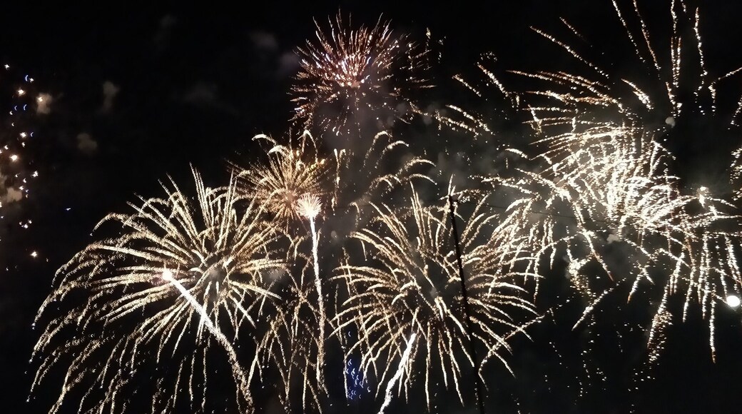 Bonfire Night 5 Nov 2017