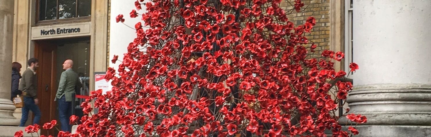 Poppy cascade at the Imperial War Museum