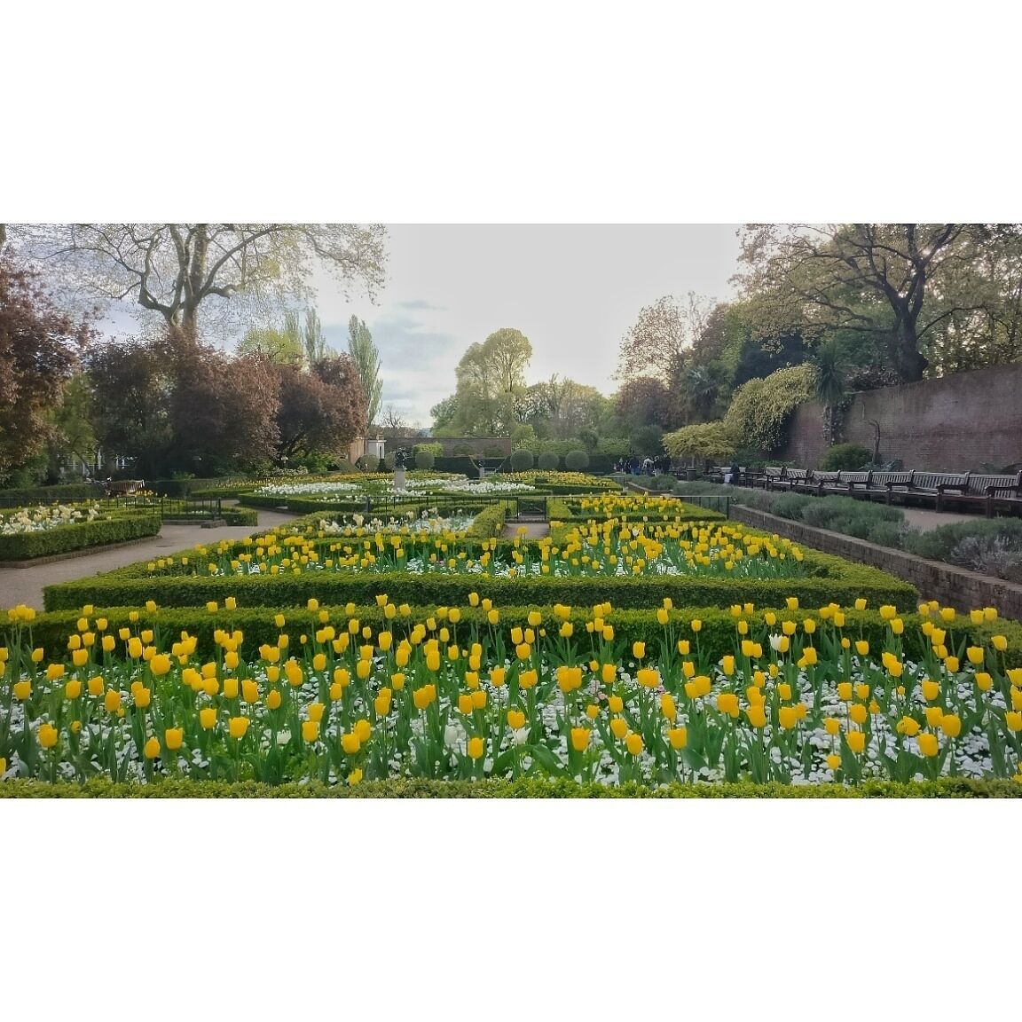 Lovely #Easter Sunday walk in #HollandPark with my love, surrounded by #nature. 🐰🌻🌾🌳🍃🌸 #SpringFun Photo sweepstakes.