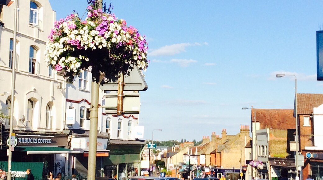 サウスフィールズ