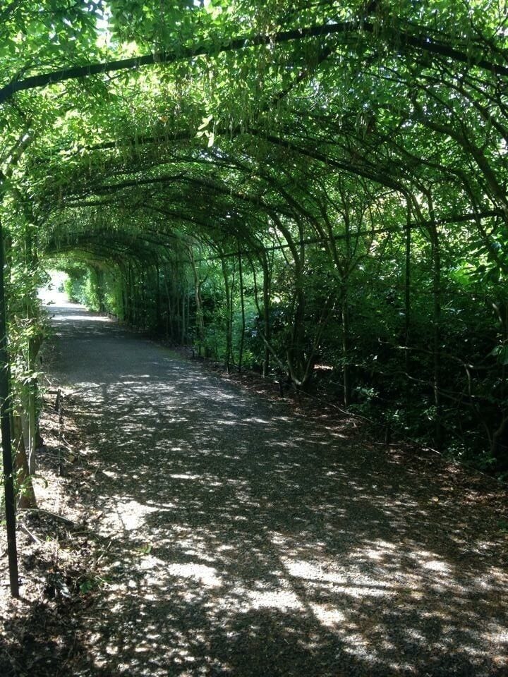 Palace Gardens #green