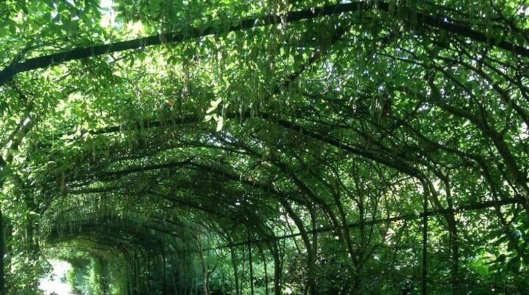 Palace Gardens #green