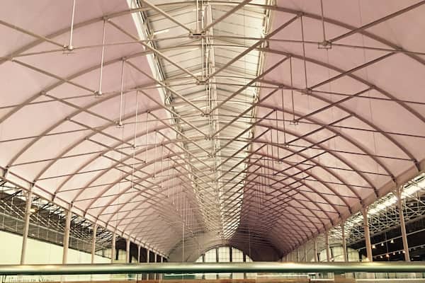 Fascinating collection.