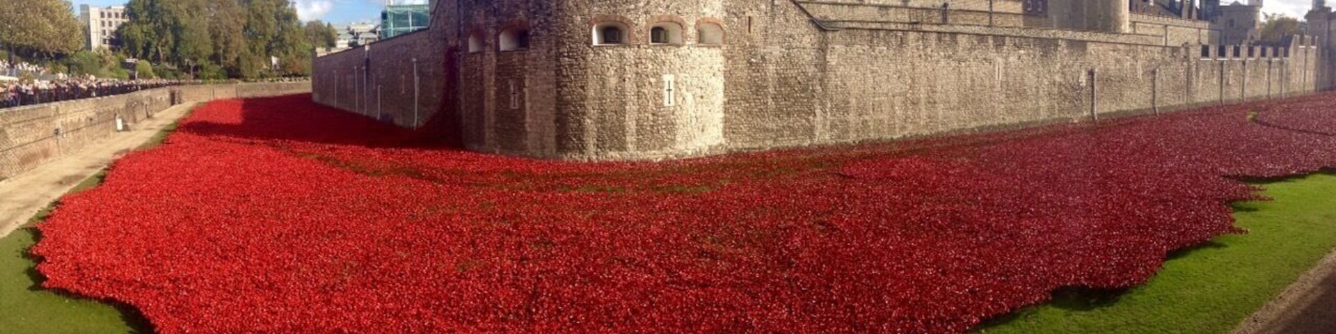 The lovely poppies at the Tower of London. Better see them soon cause they'll be removed and sold on Nov 11th. Actually, all 888,000 + are already sold and no more are available to buy. What an amazing memorial!
#bestof5 #Red