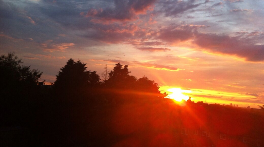 Middle Park and Sutcliffe