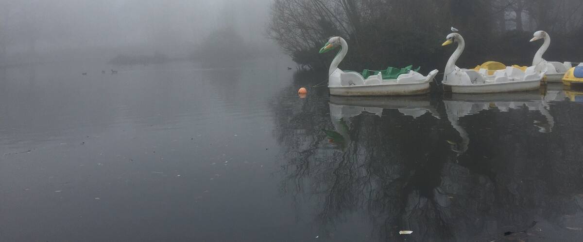 Swan boats in the fog #lifeatexpedia
