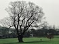 Brockwell Park