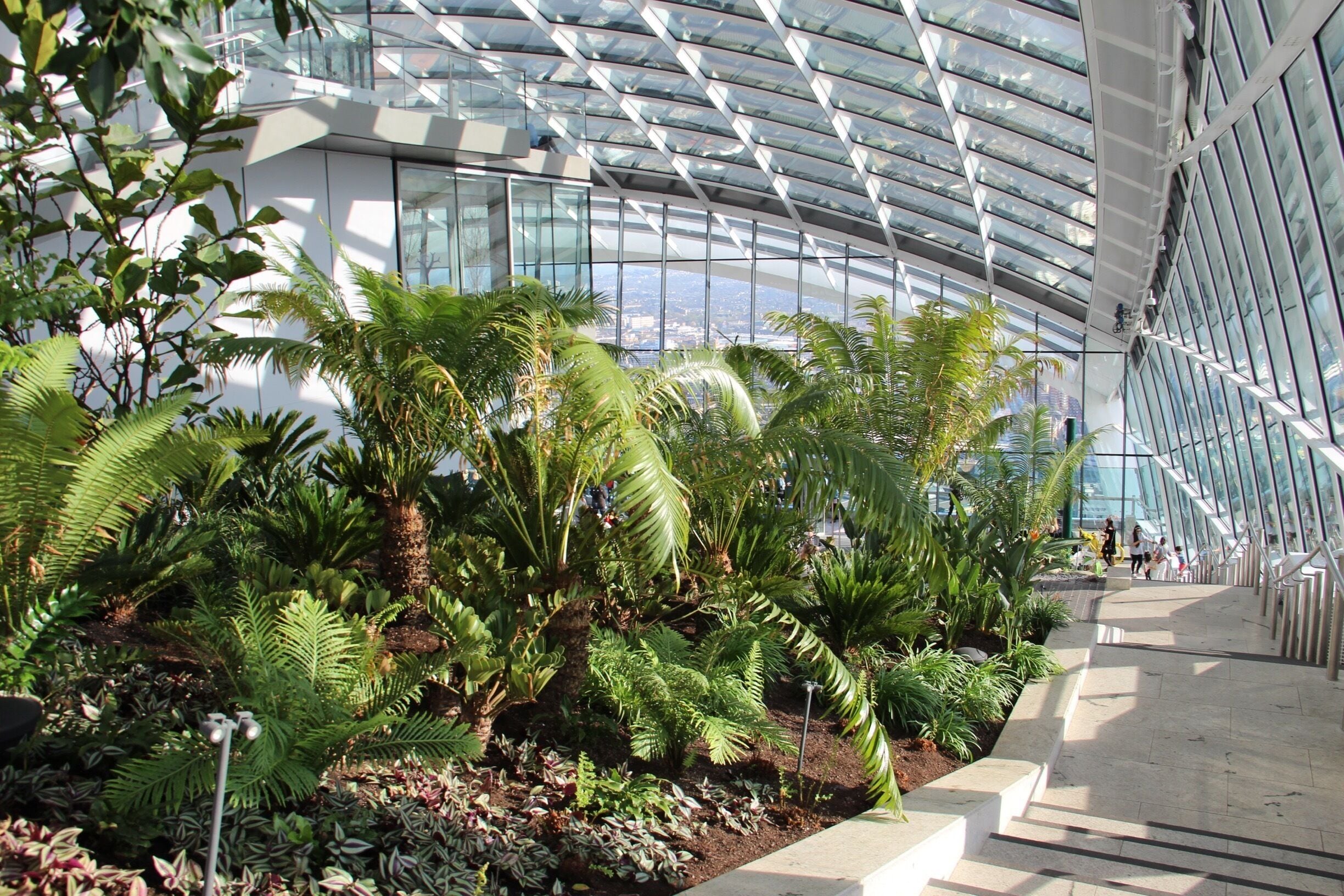 A modern building with a glass ceiling and a lush indoor garden.