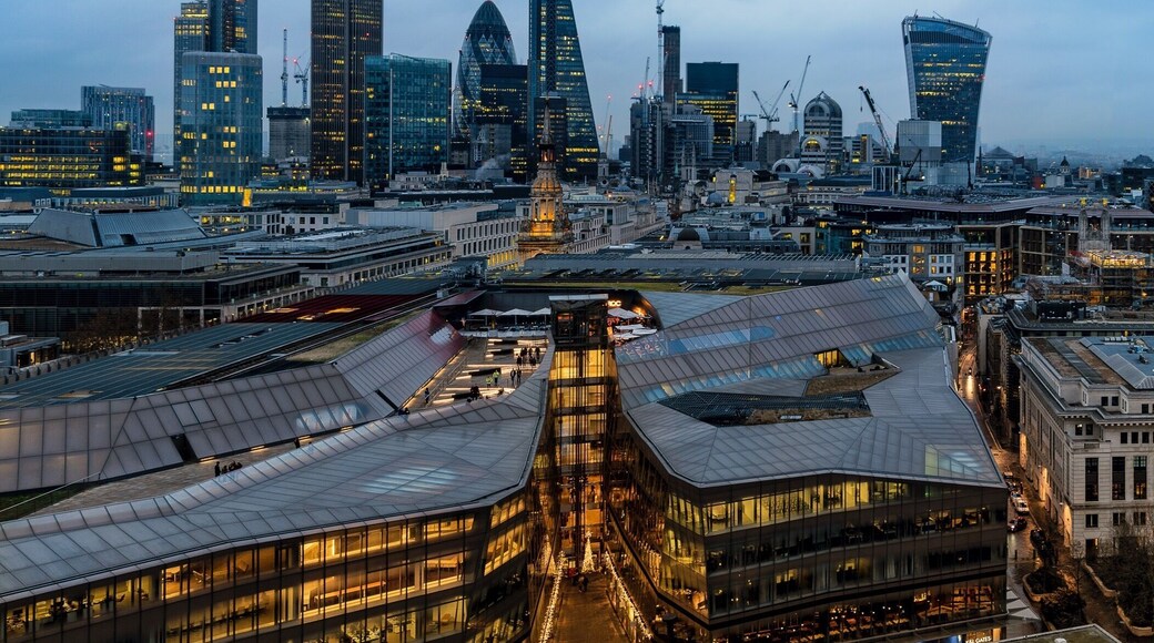 The View into the city from the top of St. Paul's #london #bvscities