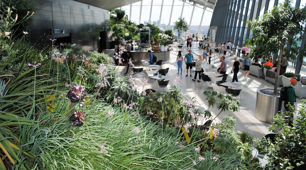 Great ambience, awesome views of the City of London, choice of dining experiences...something for everyone - and even better ...its free to enter...just book in advance or read the website as to when you can take a chance and just try walking in off the street - good luck - its worth a visit for sure.