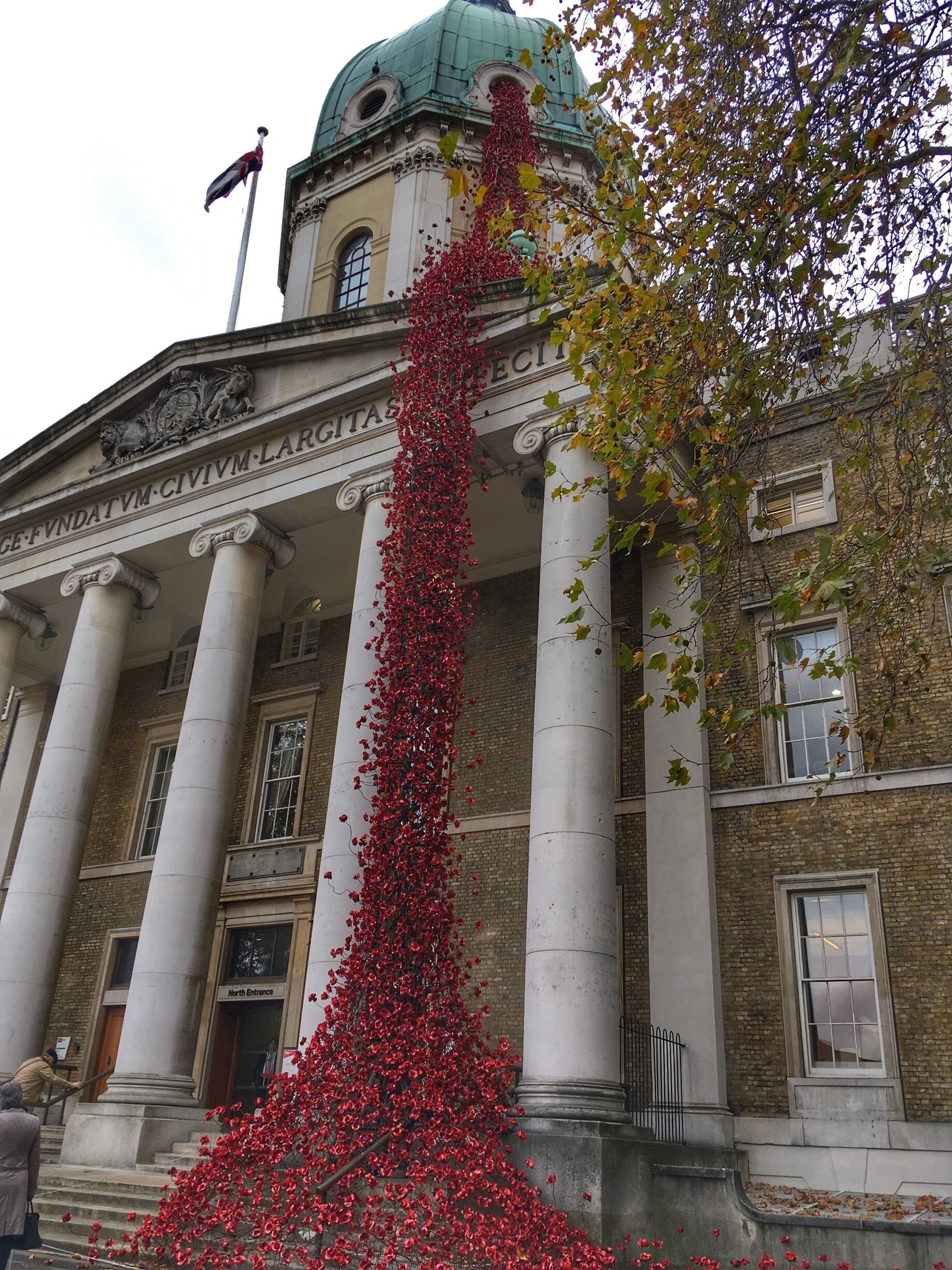 The final stop on the cascading poppies tour.