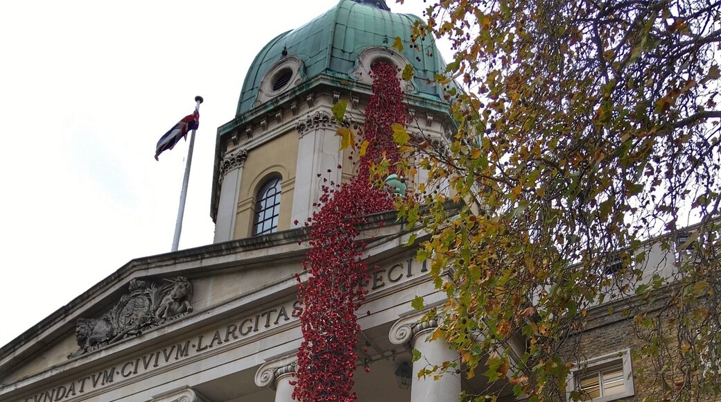 The final stop on the cascading poppies tour.