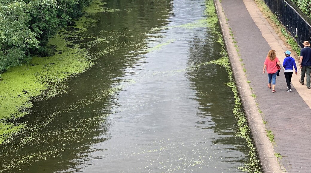 Very beautiful place