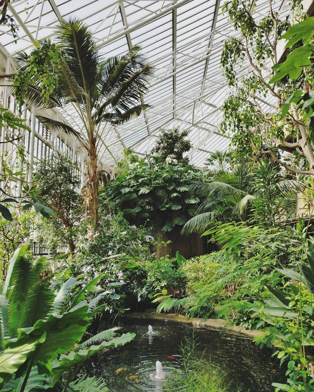 A greenhouse with a variety of tropical plants, a small pond with a fountain, and a glass ceiling structure.