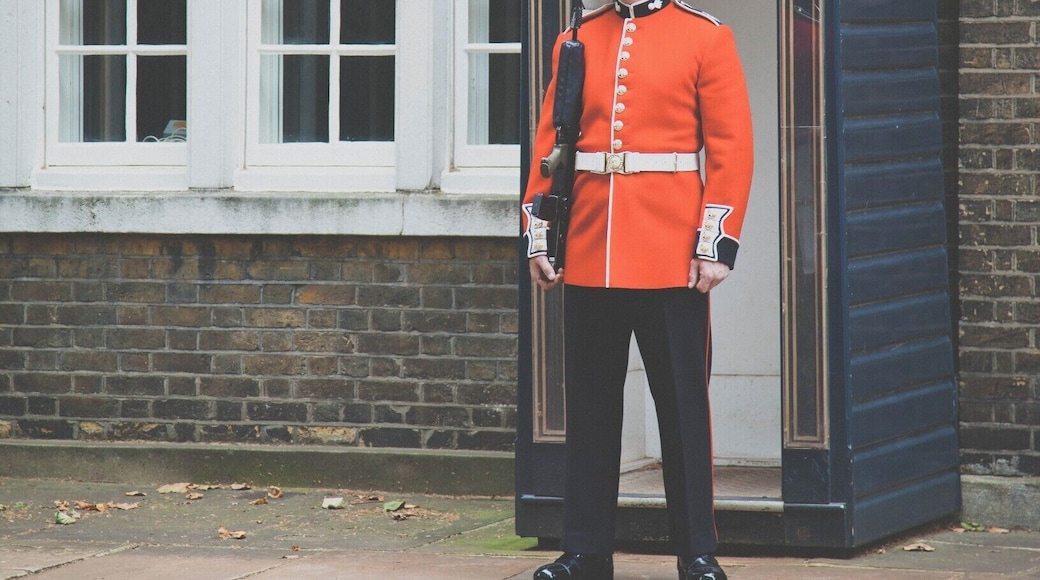 Because it just isn't a trip to London without a picture of the Royal Guards somewhere in your collection.