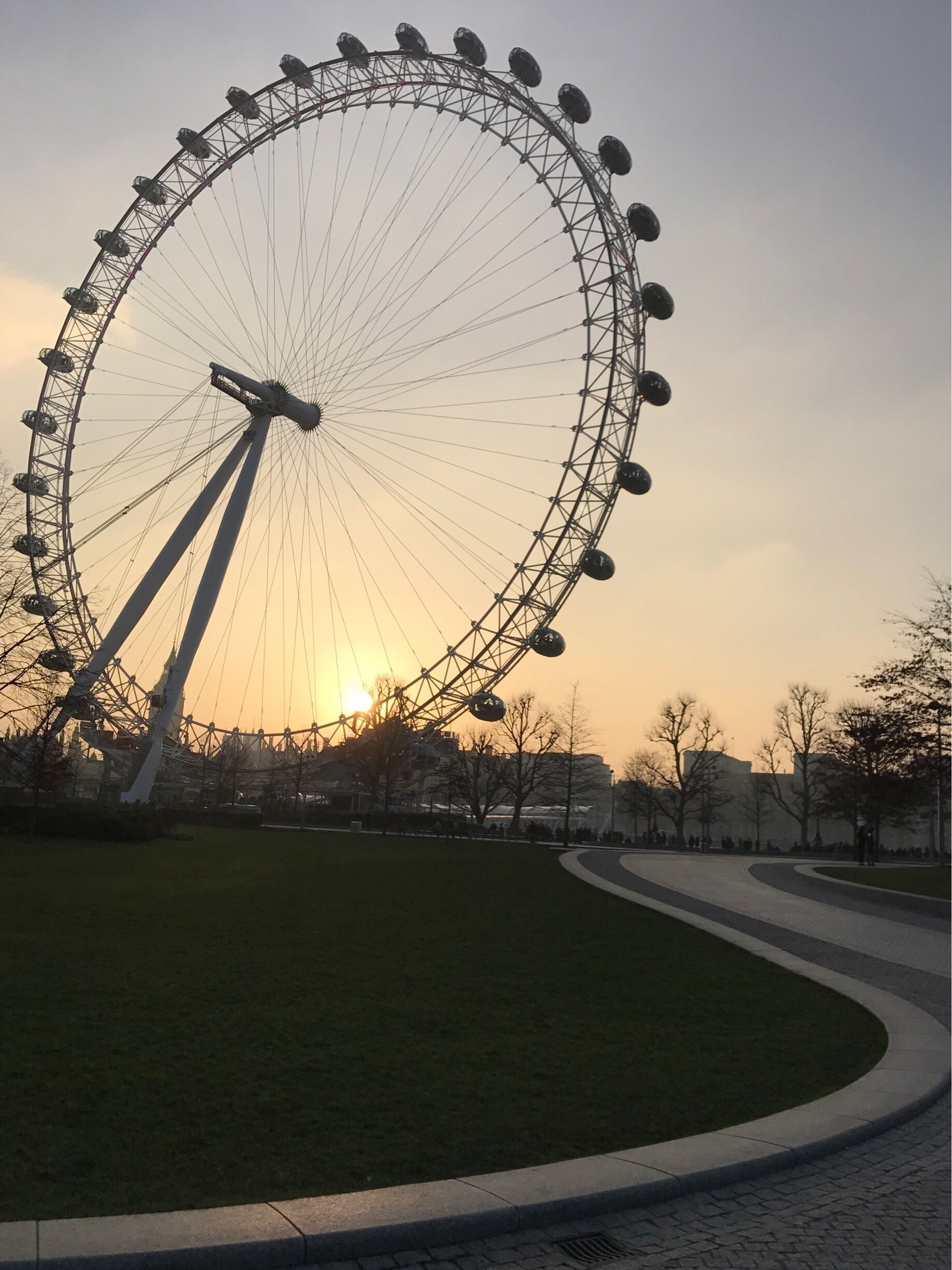 View of the London Eye at sunset

#london #sunset