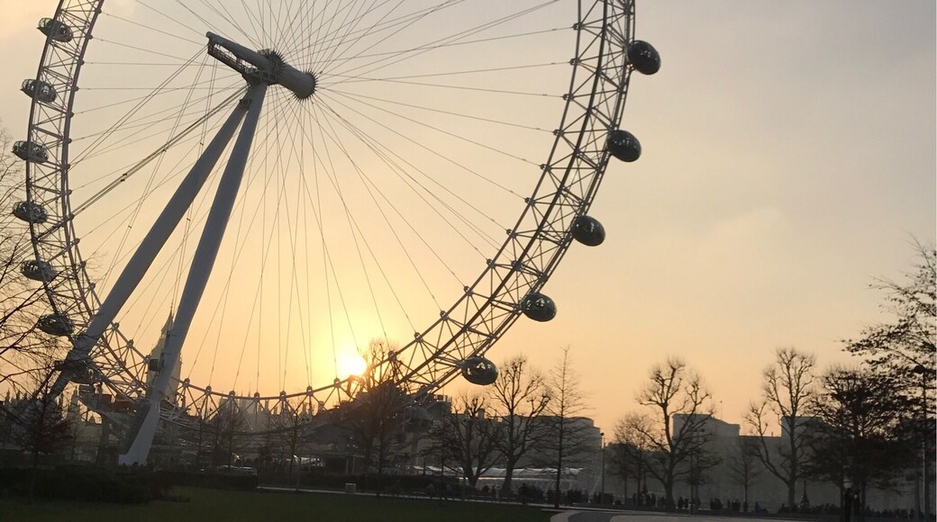 View of the London Eye at sunset
#london #sunset