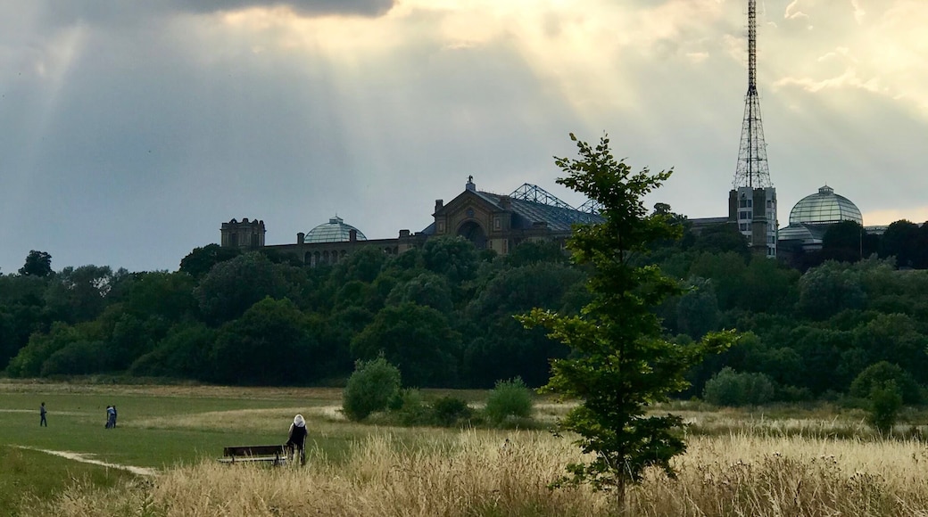 View of Ally Pally from Hornsey #allypally #alexandrapalace #london