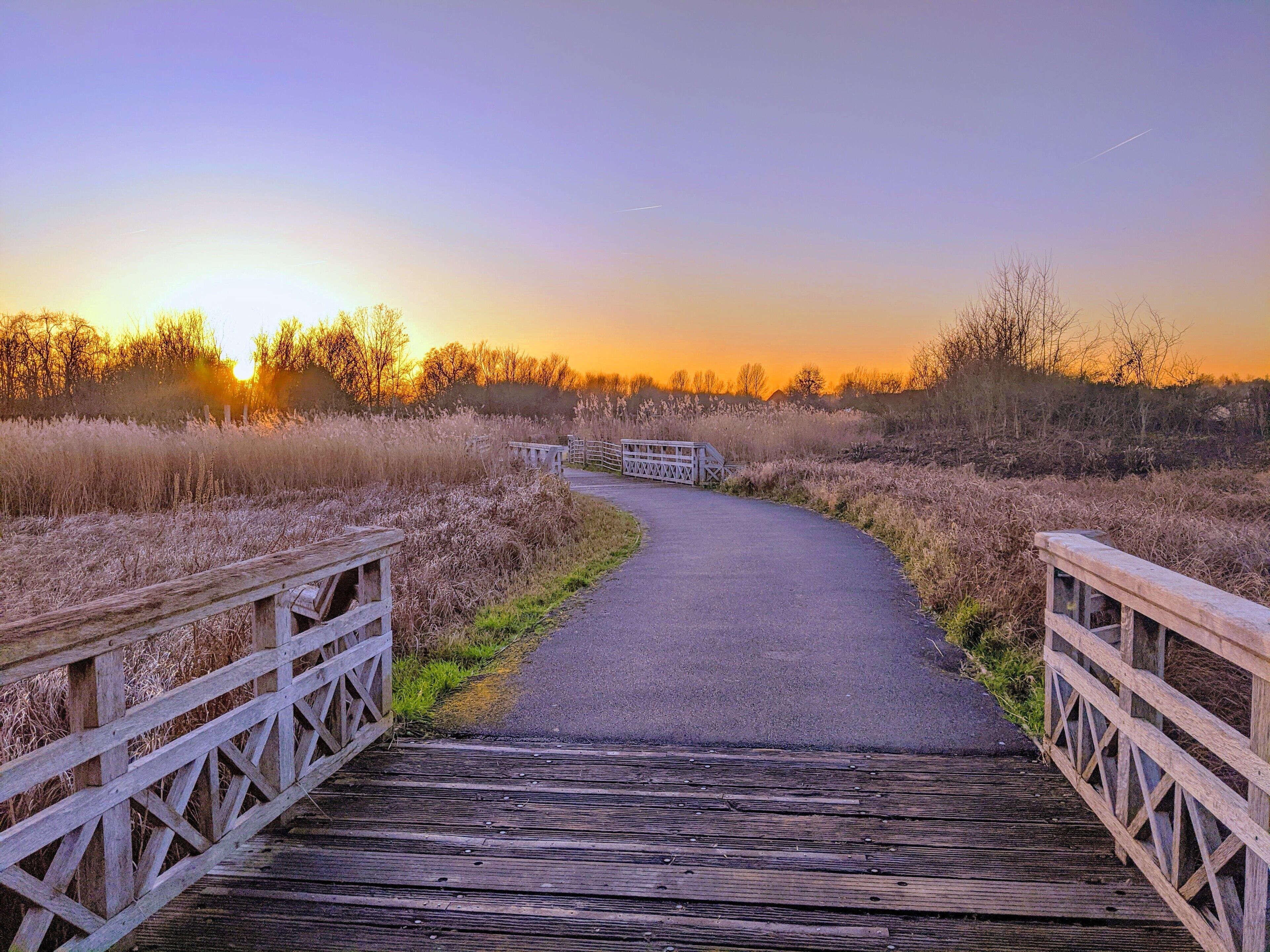 The London Wetland Centre is an oasis to many types of wild birds and humans looking to escape the hectic city world. Wrap up and enjoy many birds still active in colder months when it's less busy. #LifeAtExpediaGroup #wwt #sunset