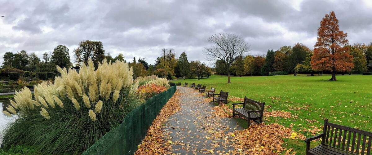 Autumn running in London in Golders Hill Park
#LifeAtExpedia