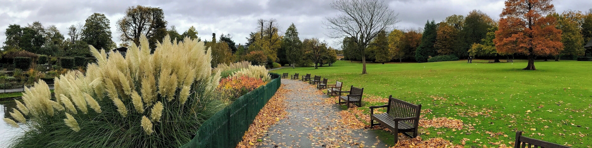 Autumn running in London in Golders Hill Park
#LifeAtExpedia