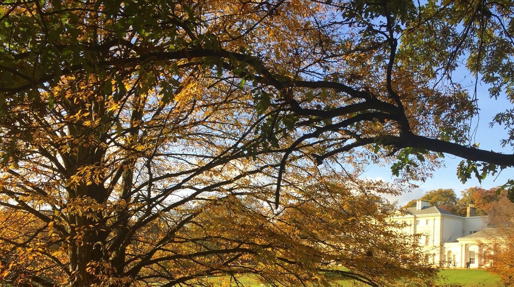 #Hampstead Heath
#Paradise in London #Kenwood house #English Heritage