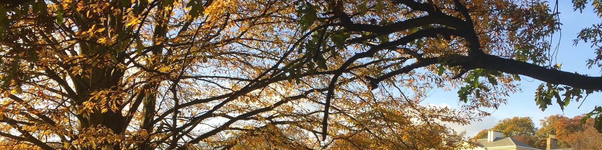 #Hampstead Heath
#Paradise in London #Kenwood house #English Heritage