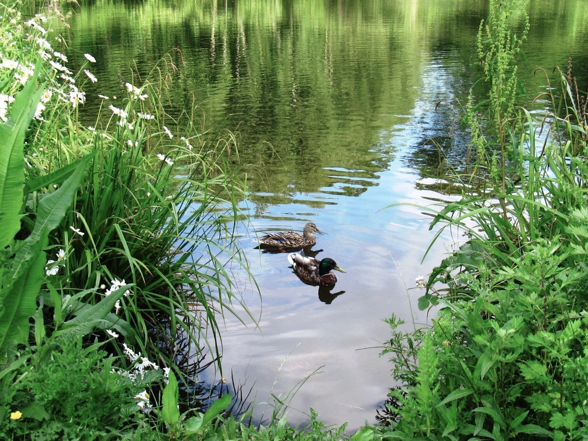 I don't know whether you knew, but London is actually one the greenest cities in the world. There are so many open spaces, grasslands, ponds and ancient forests within the city's borders, you never have to go far to find your oasis of calm. #LifeAtExpedia