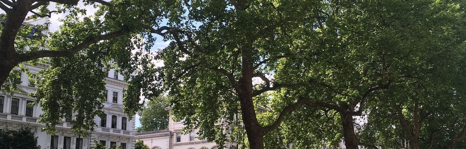 Enjoying the nice weather on the east lawn of the Natural History Museum