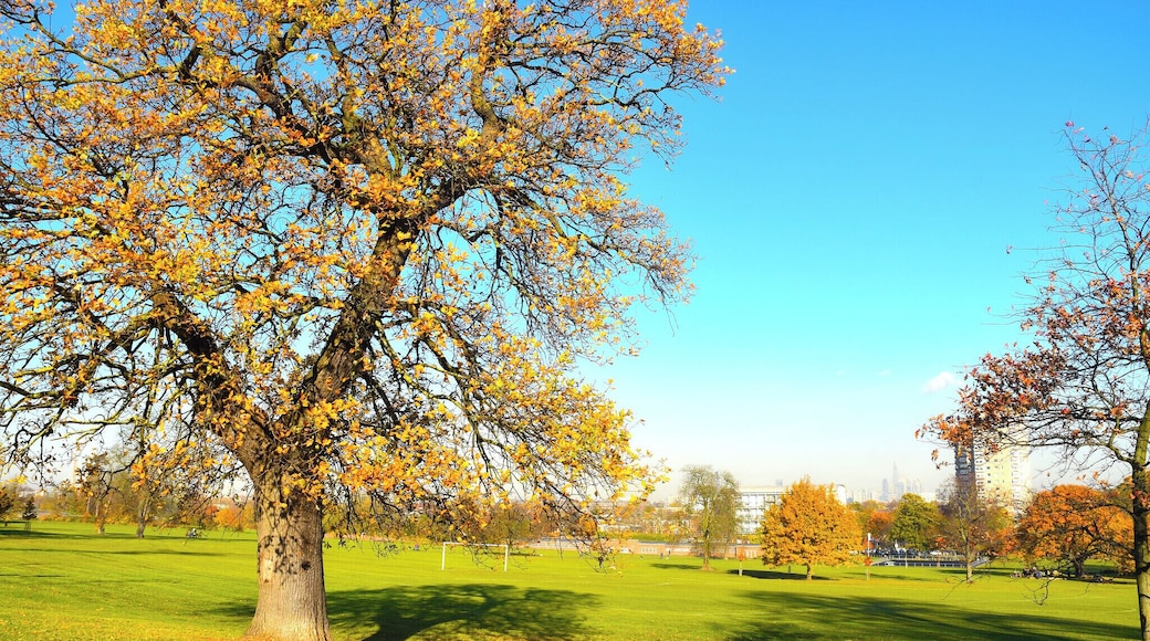 Brockwell Park has featured a weekend of festivals in recent years. Each one lasts a day, with a different name and vibe from the one before.
Cross the Tracks, with a funk music line up in June time.
Wideawake Festival, with leftfield indie, post-punk, electronica, techno and jazz.
Mighty Hoopla, with pop and throwback artists.
All take place in June, and if the weather is on our side, makes for a wonderful weekend of musical experimentation!
