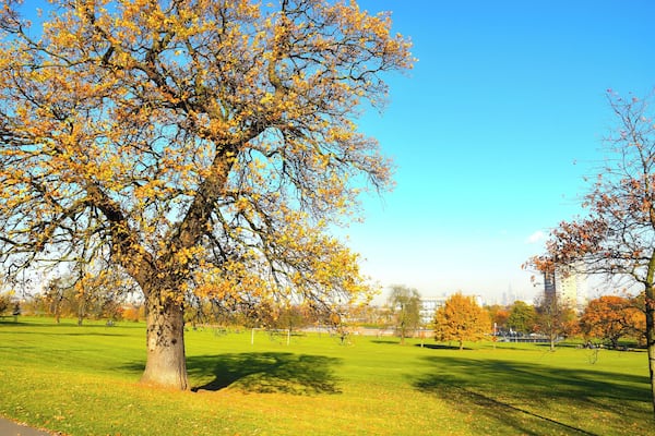 Brockwell Park has featured a weekend of festivals in recent years. Each one lasts a day, with a different name and vibe from the one before.
Cross the Tracks, with a funk music line up in June time.
Wideawake Festival, with leftfield indie, post-punk, electronica, techno and jazz.
Mighty Hoopla, with pop and throwback artists.
All take place in June, and if the weather is on our side, makes for a wonderful weekend of musical experimentation!