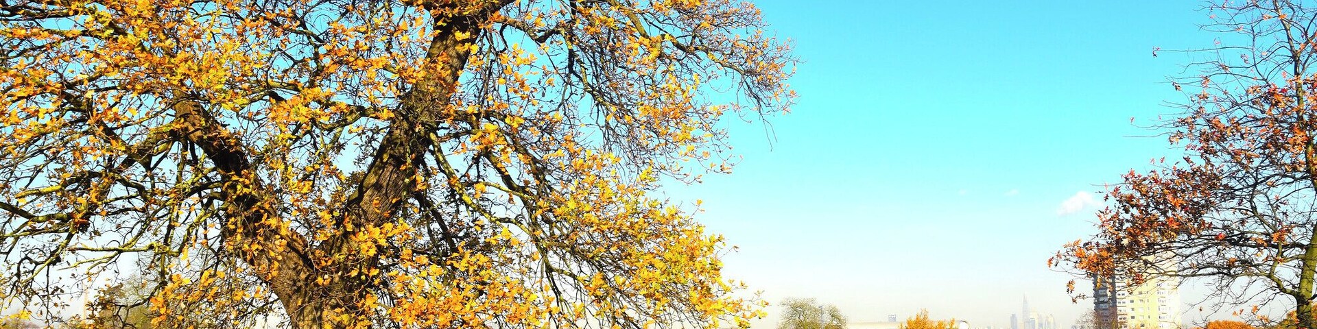 Brockwell Park has featured a weekend of festivals in recent years. Each one lasts a day, with a different name and vibe from the one before.
Cross the Tracks, with a funk music line up in June time.
Wideawake Festival, with leftfield indie, post-punk, electronica, techno and jazz.
Mighty Hoopla, with pop and throwback artists.
All take place in June, and if the weather is on our side, makes for a wonderful weekend of musical experimentation!