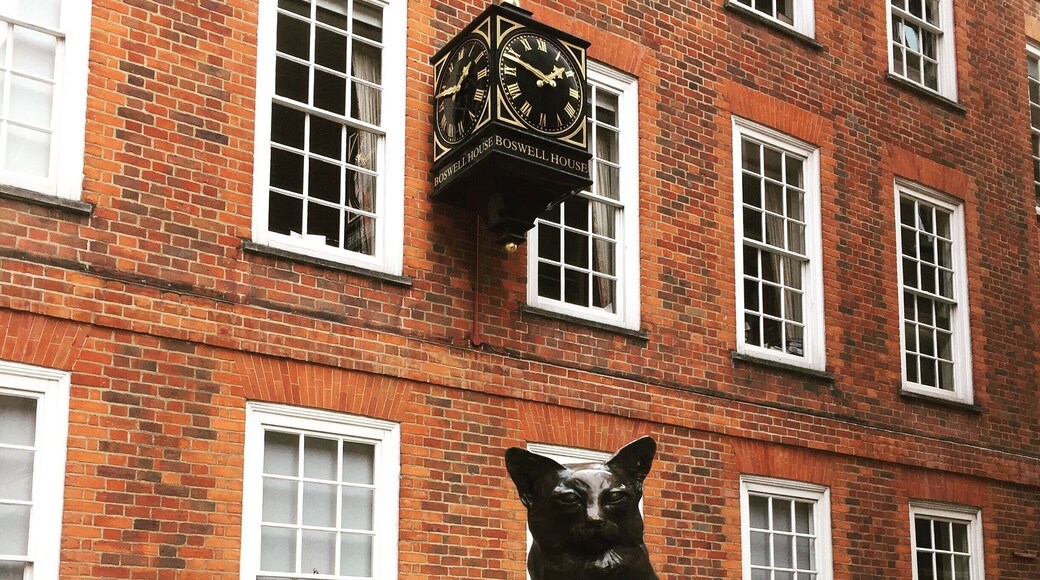 His most excellent cat.