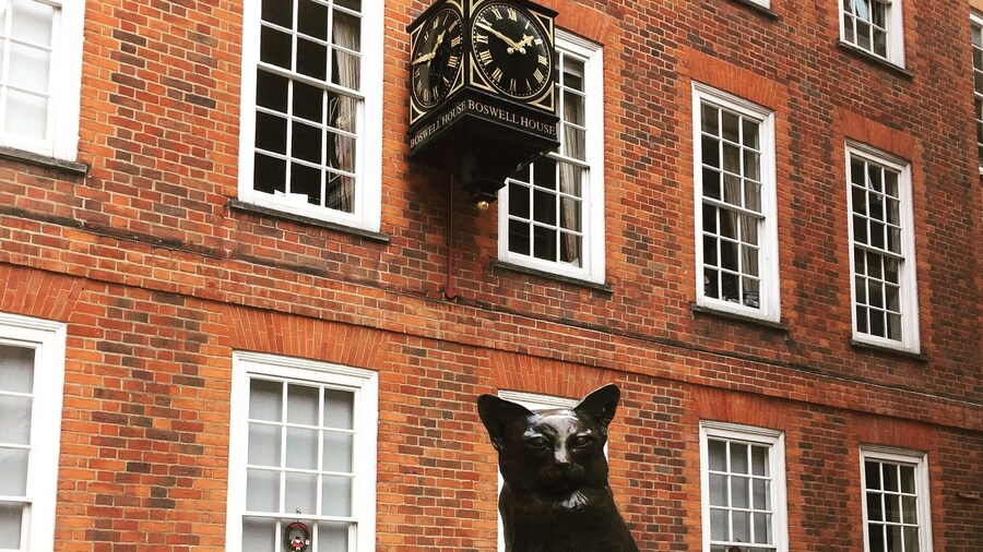 His most excellent cat.