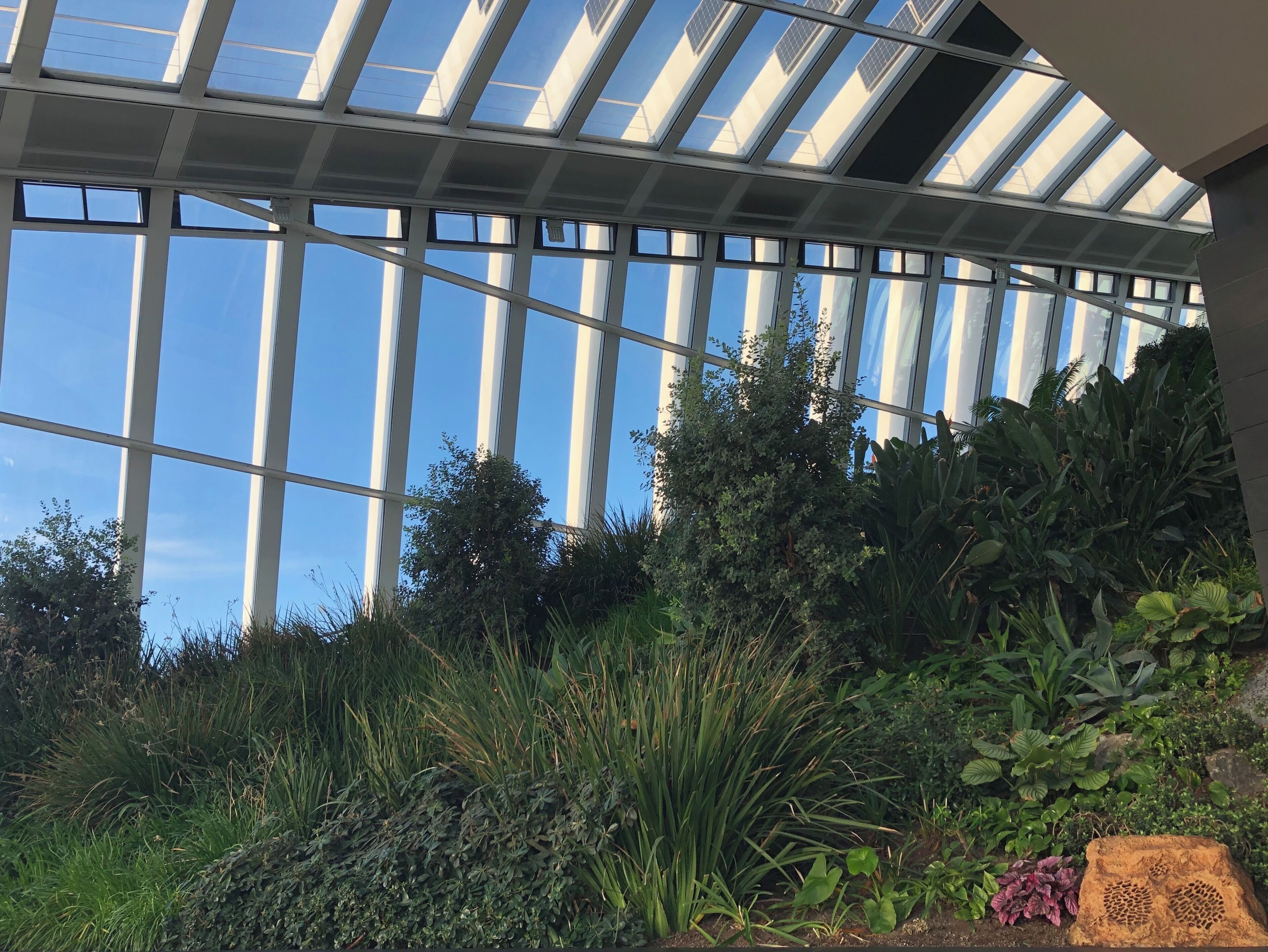 Another photo but this time taken of the inside of the building. I am in awe of this place.