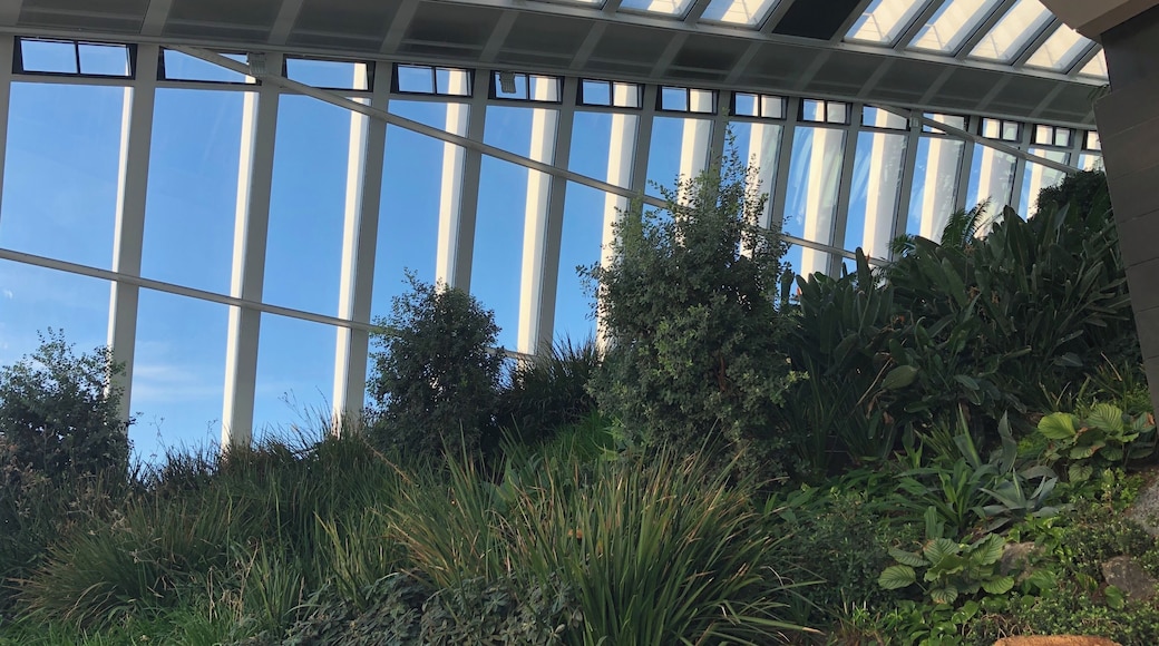 Another photo but this time taken of the inside of the building. I am in awe of this place.