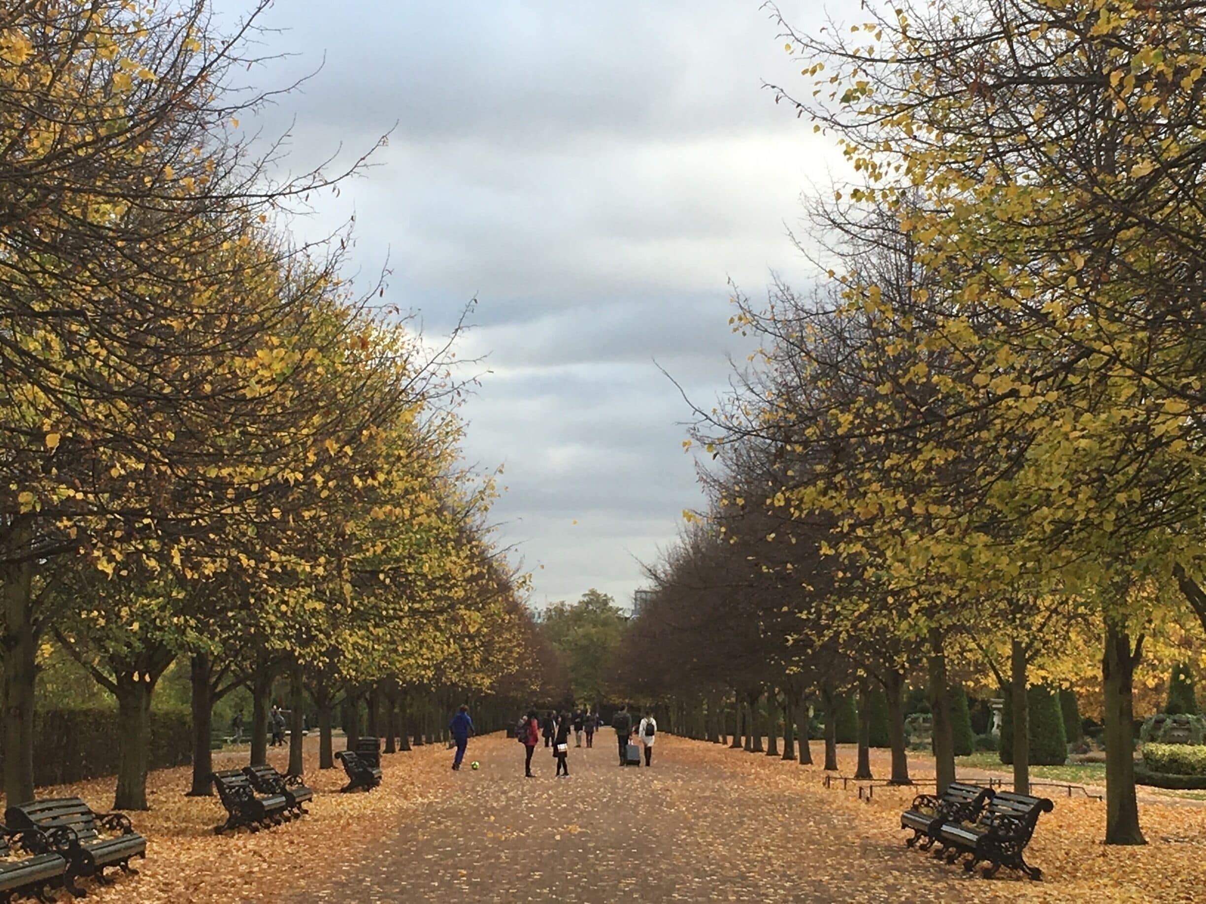 A park with a paved walkway lined by trees with yellow leaves, benches, and people walking.