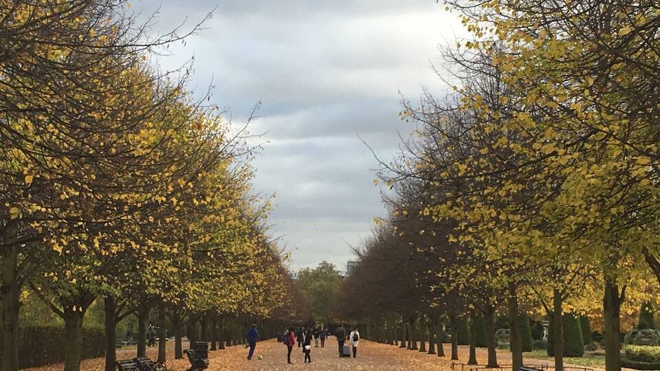 A park with a paved walkway lined by trees with yellow leaves, benches, and people walking.