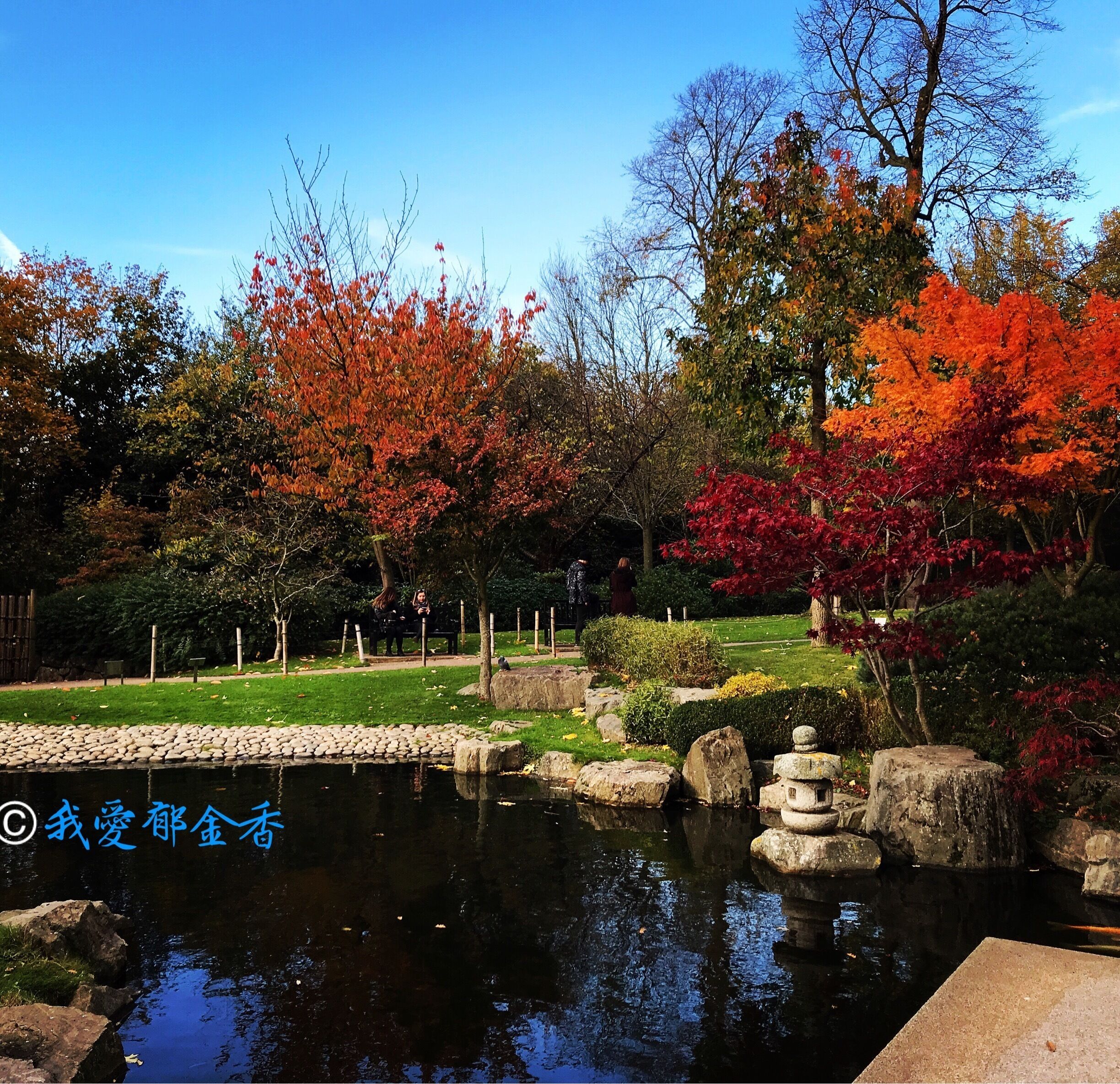 Kyoto Garden in sunny winter